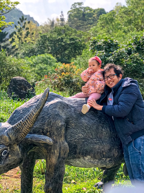 This place is really recommended for a family trip, especially if your children love animals.